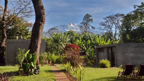 kaliwa lodge machame|Kaliwa Lodge, Machame: Hotel Reviews, Rooms & Prices.